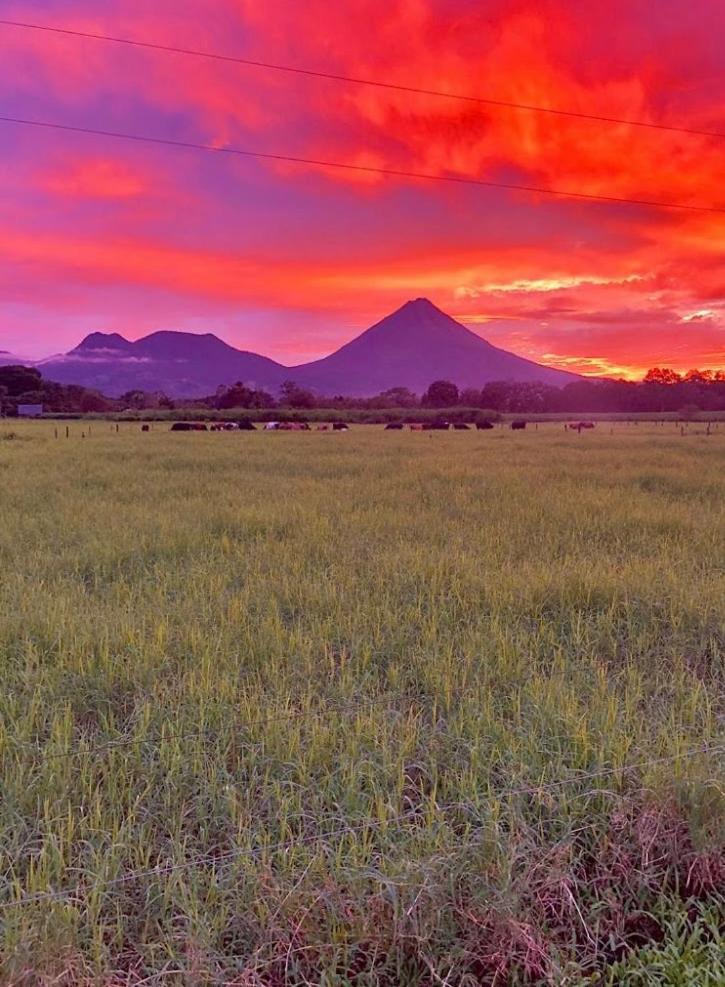 Hotel Befox Adventure La Fortuna Exterior foto
